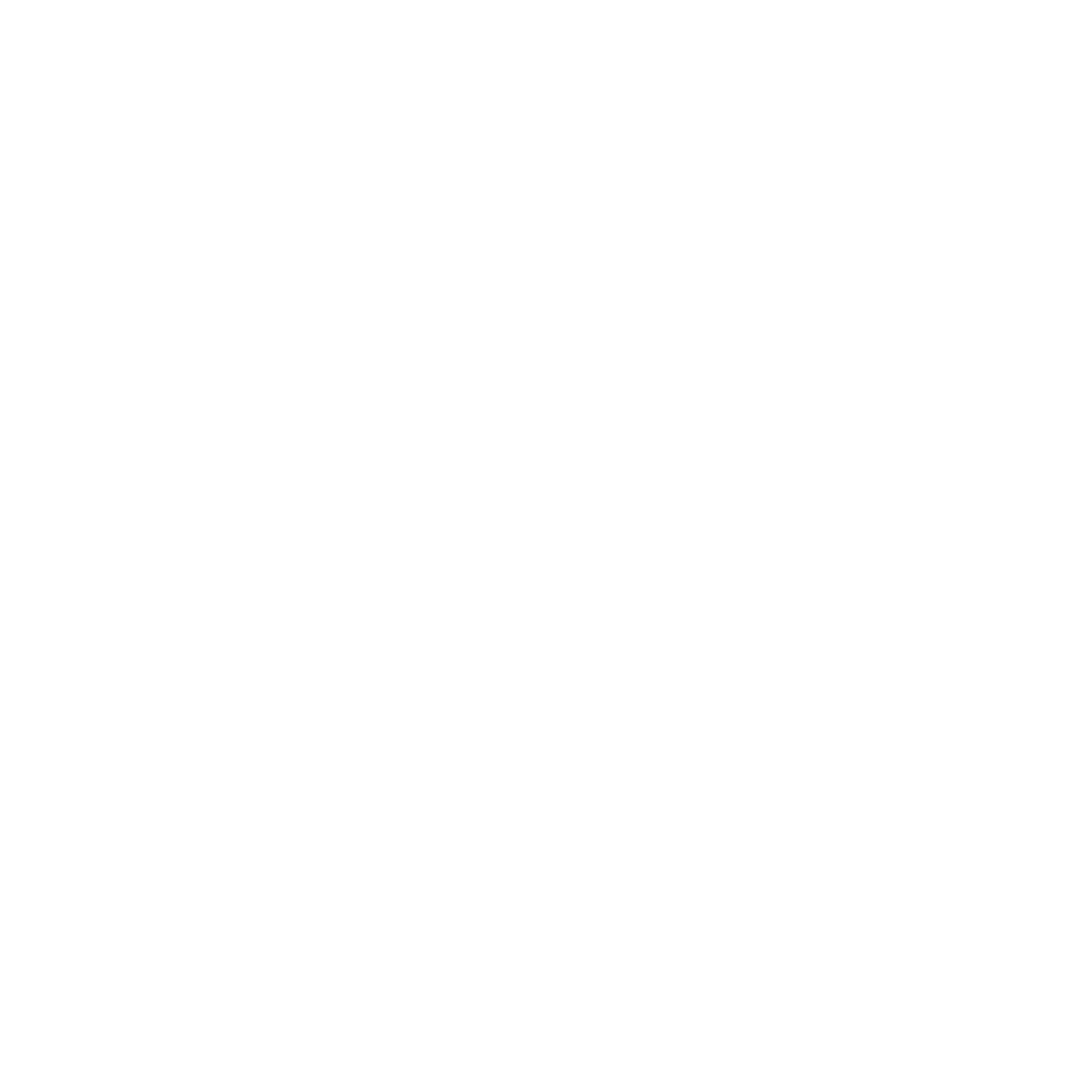 Logo novarythm en blanc